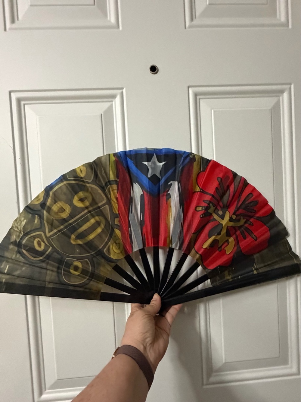 Puerto Rico Folding Hand Fan - Picture 6 of 8
